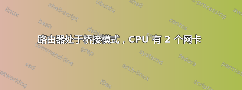 路由器处于桥接模式，CPU 有 2 个网卡