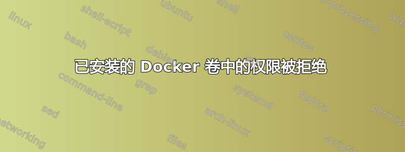 已安装的 Docker 卷中的权限被拒绝