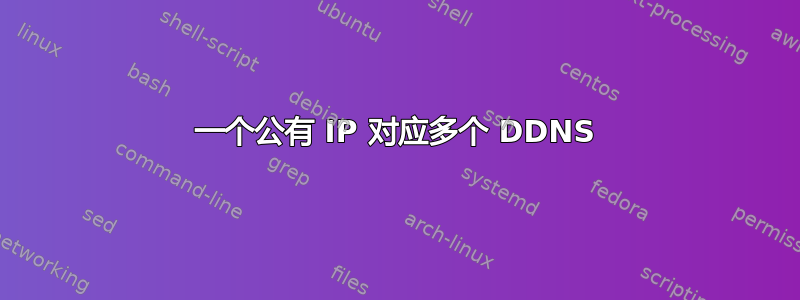 一个公有 IP 对应多个 DDNS