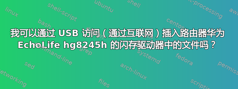 我可以通过 USB 访问（通过互联网）插入路由器华为 EchoLife hg8245h 的闪存驱动器中的文件吗？