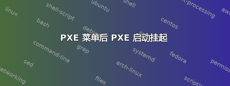 PXE 菜单后 PXE 启动挂起