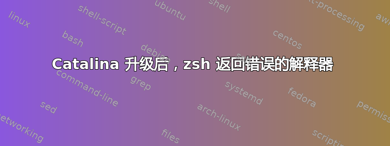 Catalina 升级后，zsh 返回错误的解释器