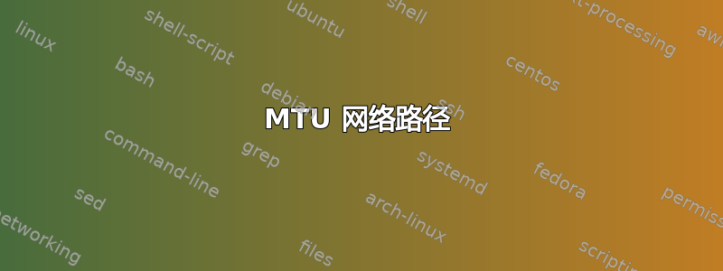 MTU 网络路径