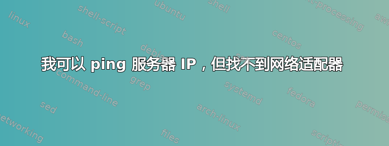 我可以 ping 服务器 IP，但找不到网络适配器