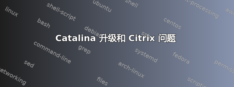 Catalina 升级和 Citrix 问题