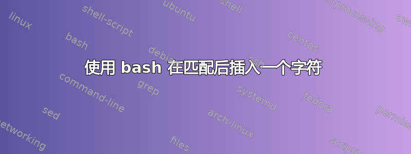 使用 bash 在匹配后插入一个字符