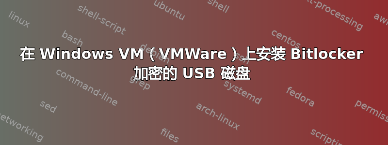 在 Windows VM（VMWare）上安装 Bitlocker 加密的 USB 磁盘