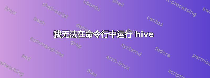 我无法在命令行中运行 hive