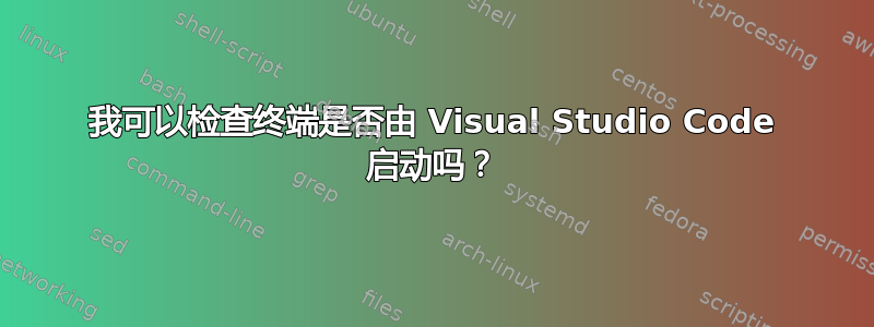 我可以检查终端是否由 Visual Studio Code 启动吗？