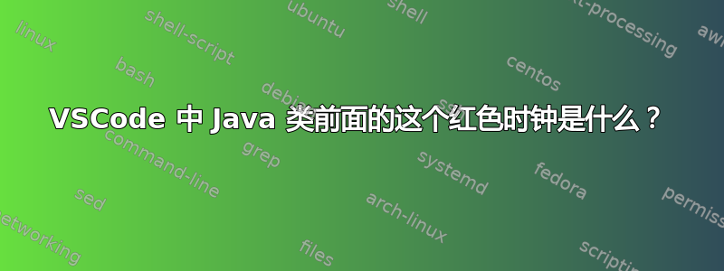 VSCode 中 Java 类前面的这个红色时钟是什么？