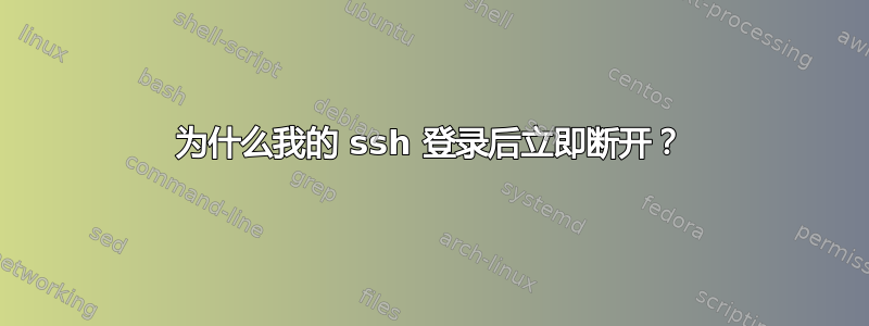 为什么我的 ssh 登录后立即断开？