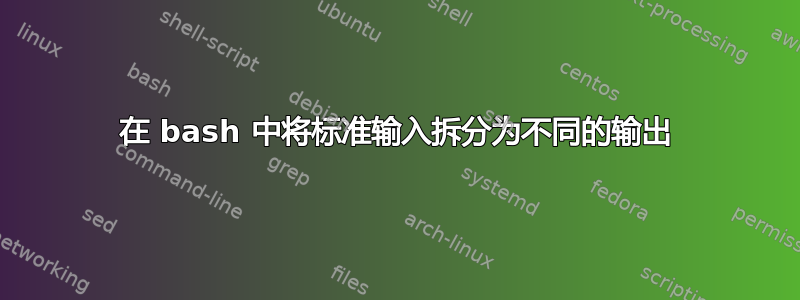 在 bash 中将标准输入拆分为不同的输出