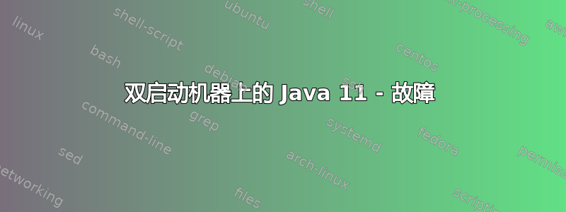 双启动机器上的 Java 11 - 故障