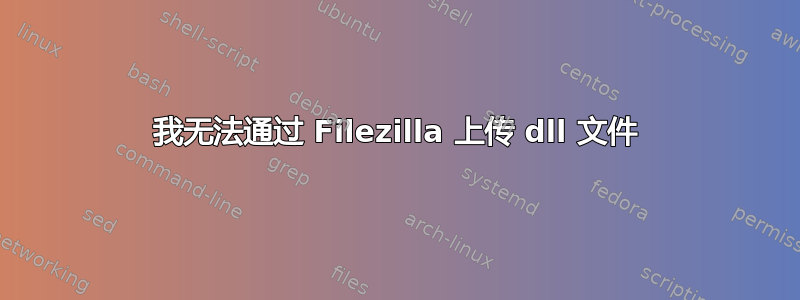 我无法通过 Filezilla 上传 dll 文件