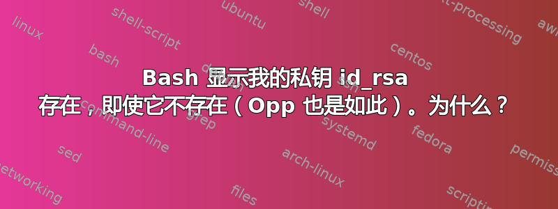 Bash 显示我的私钥 id_rsa 存在，即使它不存在（Opp 也是如此）。为什么？