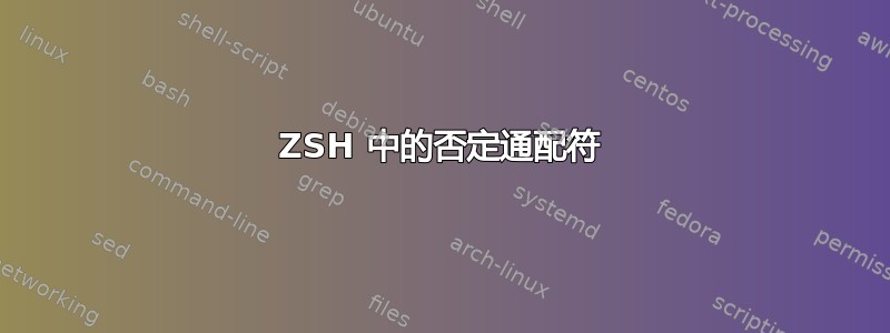 ZSH 中的否定通配符