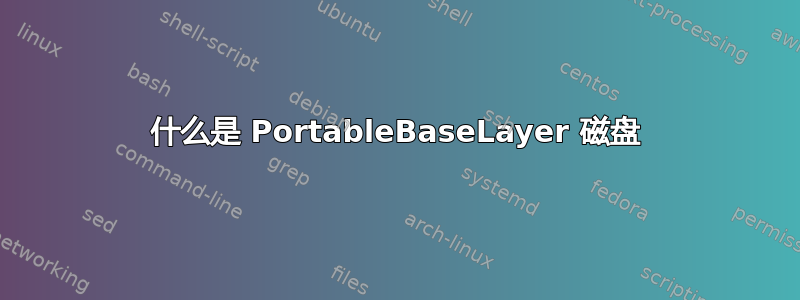 什么是 PortableBaseLayer 磁盘