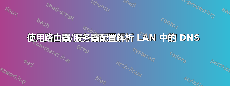 使用路由器/服务器配置解析 LAN 中的 DNS