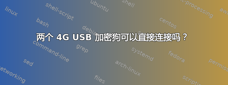 两个 4G USB 加密狗可以直接连接吗？