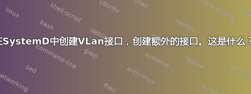 在SystemD中创建VLan接口，创建额外的接口。这是什么？