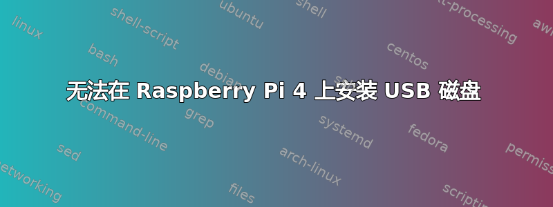 无法在 Raspberry Pi 4 上安装 USB 磁盘