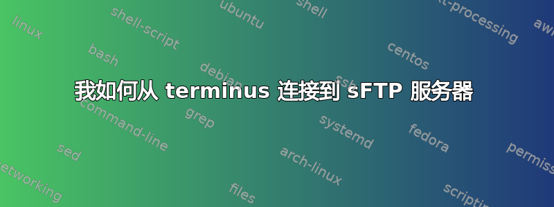 我如何从 terminus 连接到 sFTP 服务器