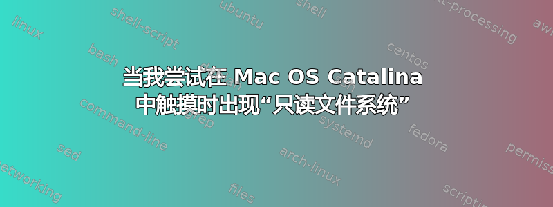 当我尝试在 Mac OS Catalina 中触摸时出现“只读文件系统”