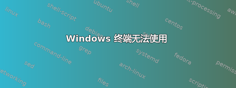 Windows 终端无法使用