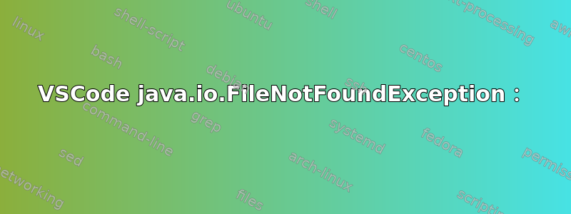 VSCode java.io.FileNotFoundException：