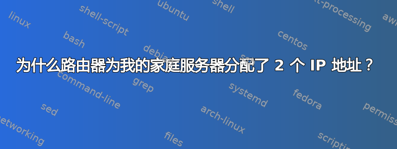 为什么路由器为我的家庭服务器分配了 2 个 IP 地址？