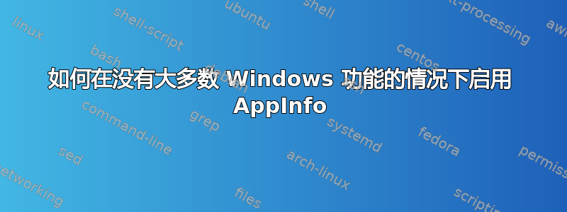 如何在没有大多数 Windows 功能的情况下启用 AppInfo