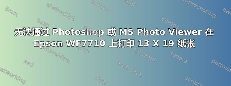 无法通过 Photoshop 或 MS Photo Viewer 在 Epson WF7710 上打印 13 X 19 纸张