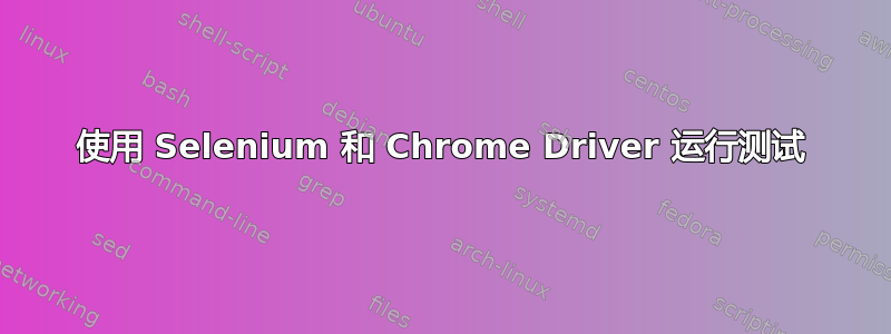 使用 Selenium 和 Chrome Driver 运行测试