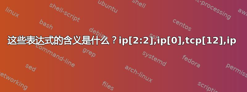 这些表达式的含义是什么？ip[2:2],ip[0],tcp[12],ip