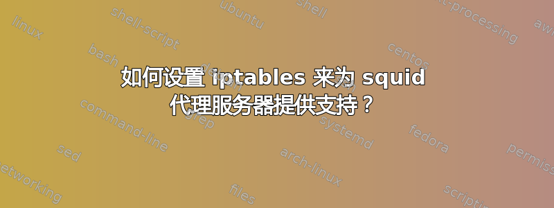 如何设置 iptables 来为 squid 代理服务器提供支持？