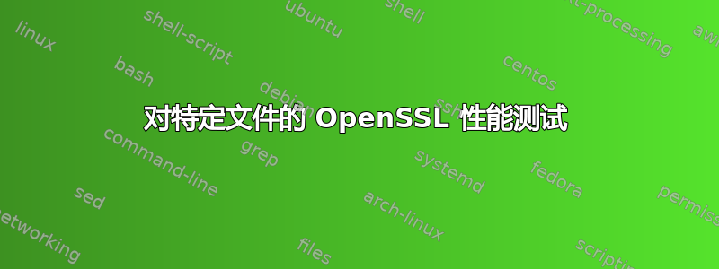 对特定文件的 OpenSSL 性能测试