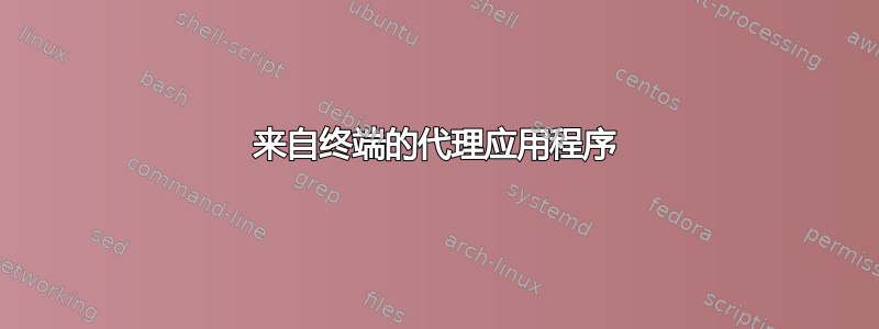 来自终端的代理应用程序