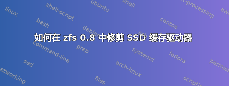 如何在 zfs 0.8 中修剪 SSD 缓存驱动器
