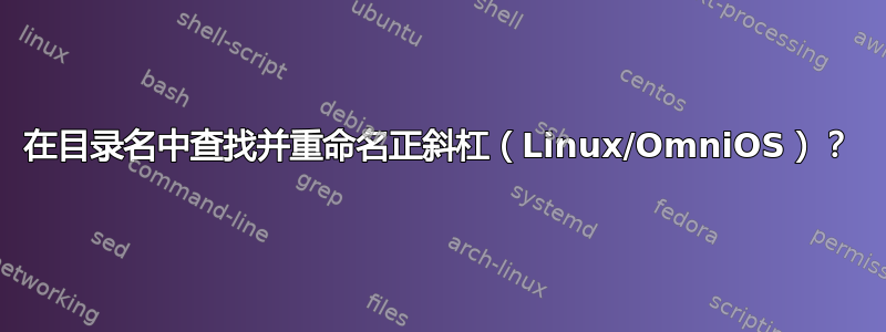 在目录名中查找并重命名正斜杠（Linux/OmniOS）？