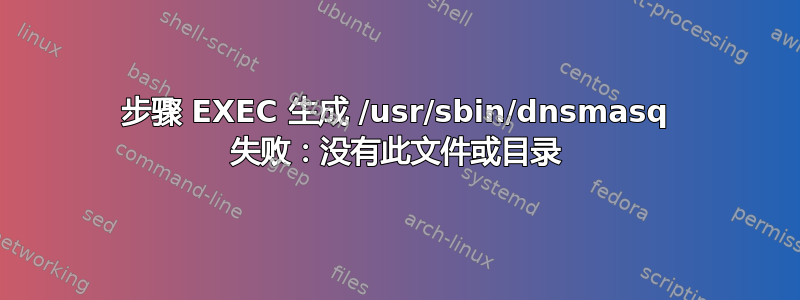 步骤 EXEC 生成 /usr/sbin/dnsmasq 失败：没有此文件或目录