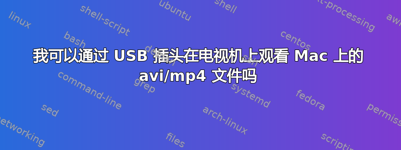 我可以通过 USB 插头在电视机上观看 Mac 上的 avi/mp4 文件吗