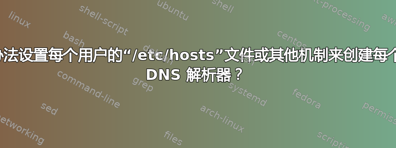 有没有办法设置每个用户的“/etc/hosts”文件或其他机制来创建每个用户的 DNS 解析器？