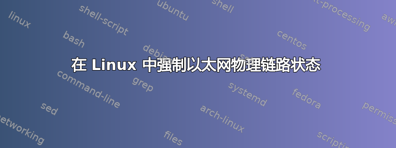 在 Linux 中强制以太网物理链路状态