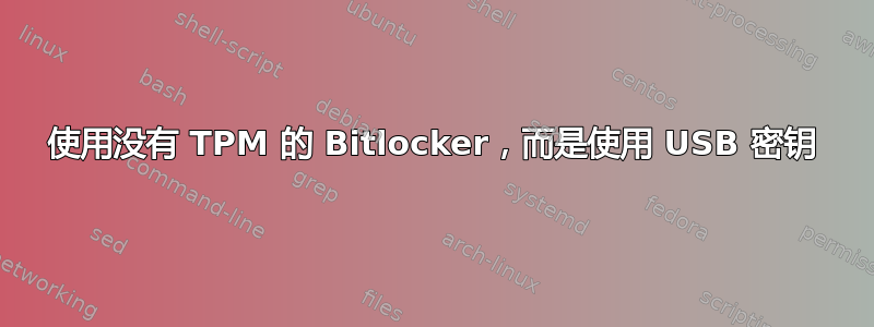 使用没有 TPM 的 Bitlocker，而是使用 USB 密钥