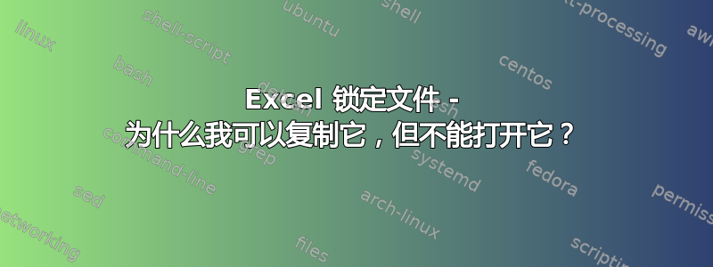 Excel 锁定文件 - 为什么我可以复制它，但不能打开它？