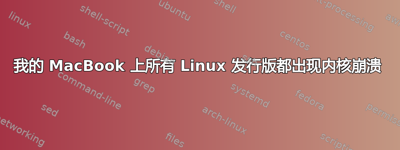 我的 MacBook 上所有 Linux 发行版都出现内核崩溃