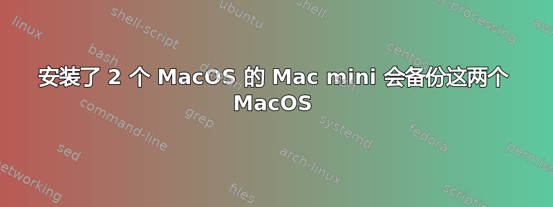 安装了 2 个 MacOS 的 Mac mini 会备份这两个 MacOS