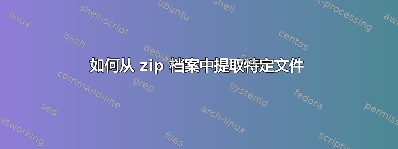 如何从 zip 档案中提取特定文件