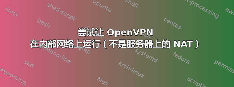 尝试让 OpenVPN 在内部网络上运行（不是服务器上的 NAT）