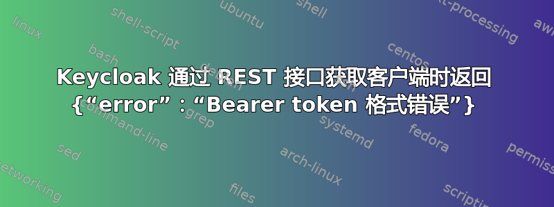 Keycloak 通过 REST 接口获取客户端时返回 {“error”：“Bearer token 格式错误”}